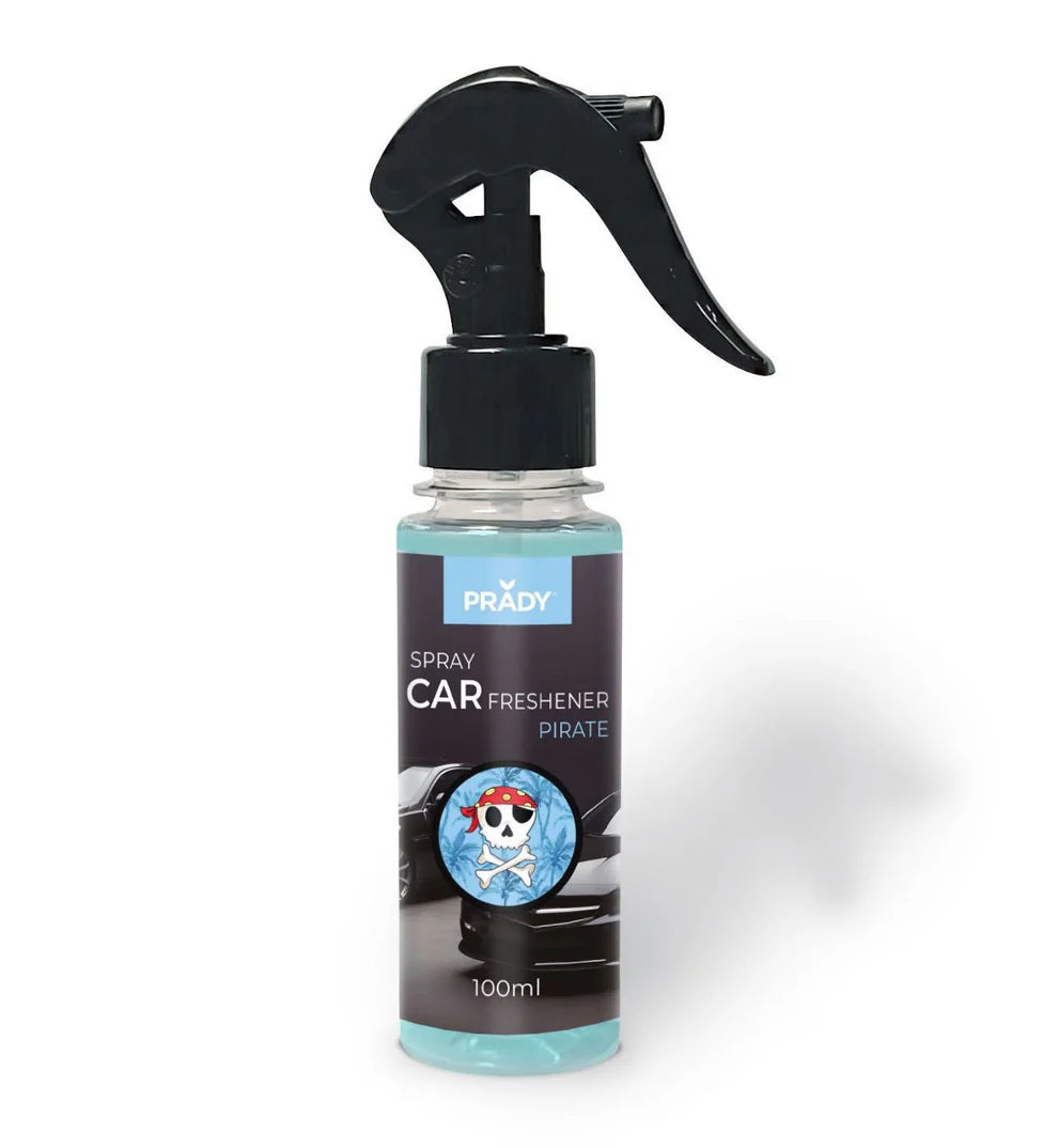 Ambientador Spray Coche 100ml